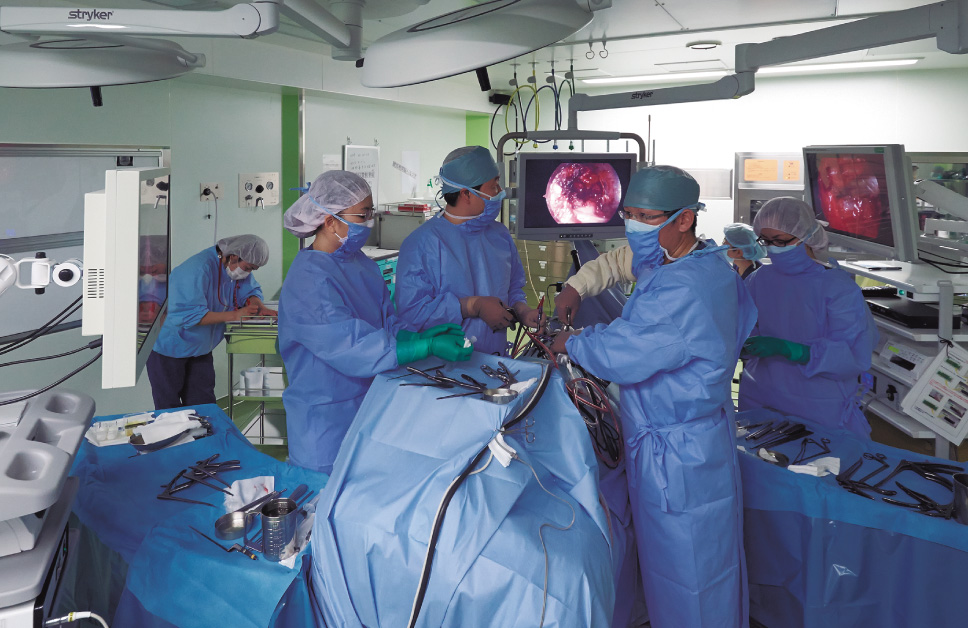 医師２人が別々のモニターを見ながら隣接する病変部の内視鏡下手術が行えるタンデム手術