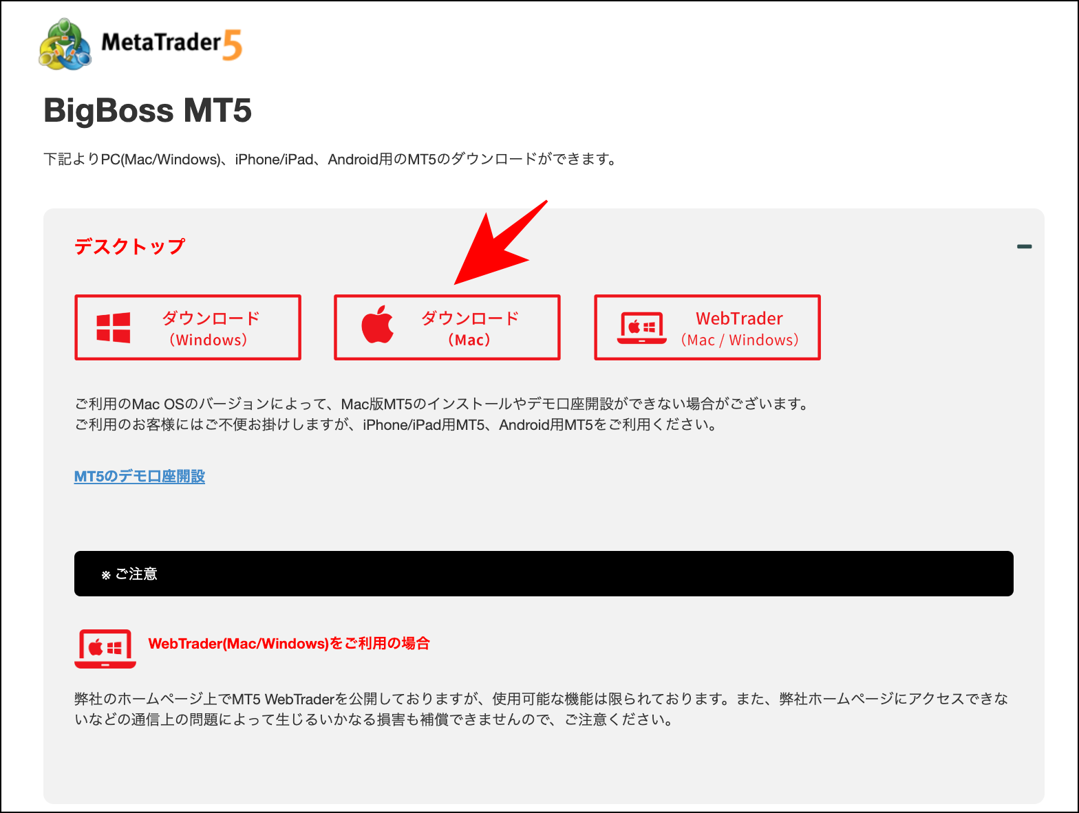 BigBoss口座開設後から取引開始までの準備