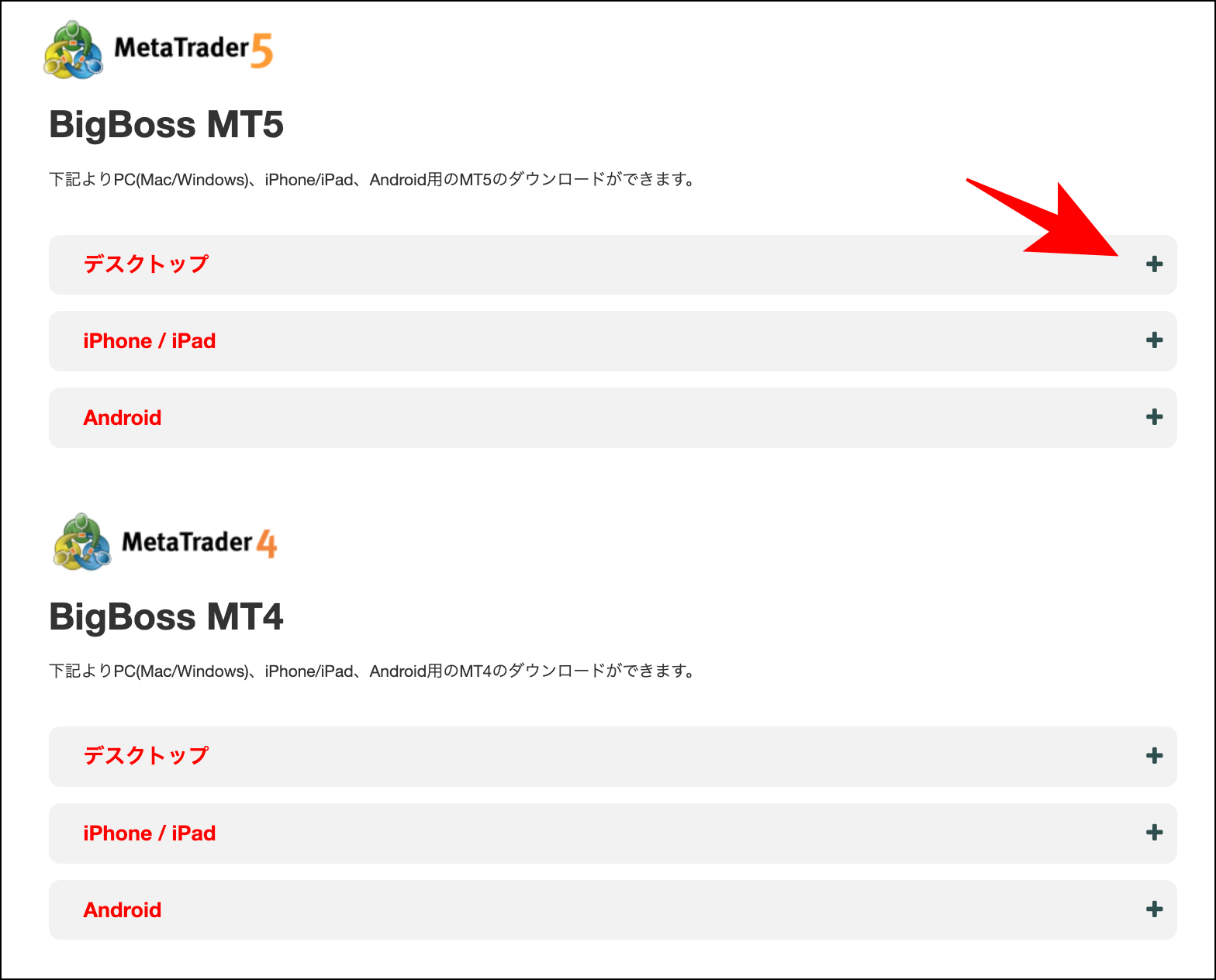 BigBoss口座開設後から取引開始までの準備