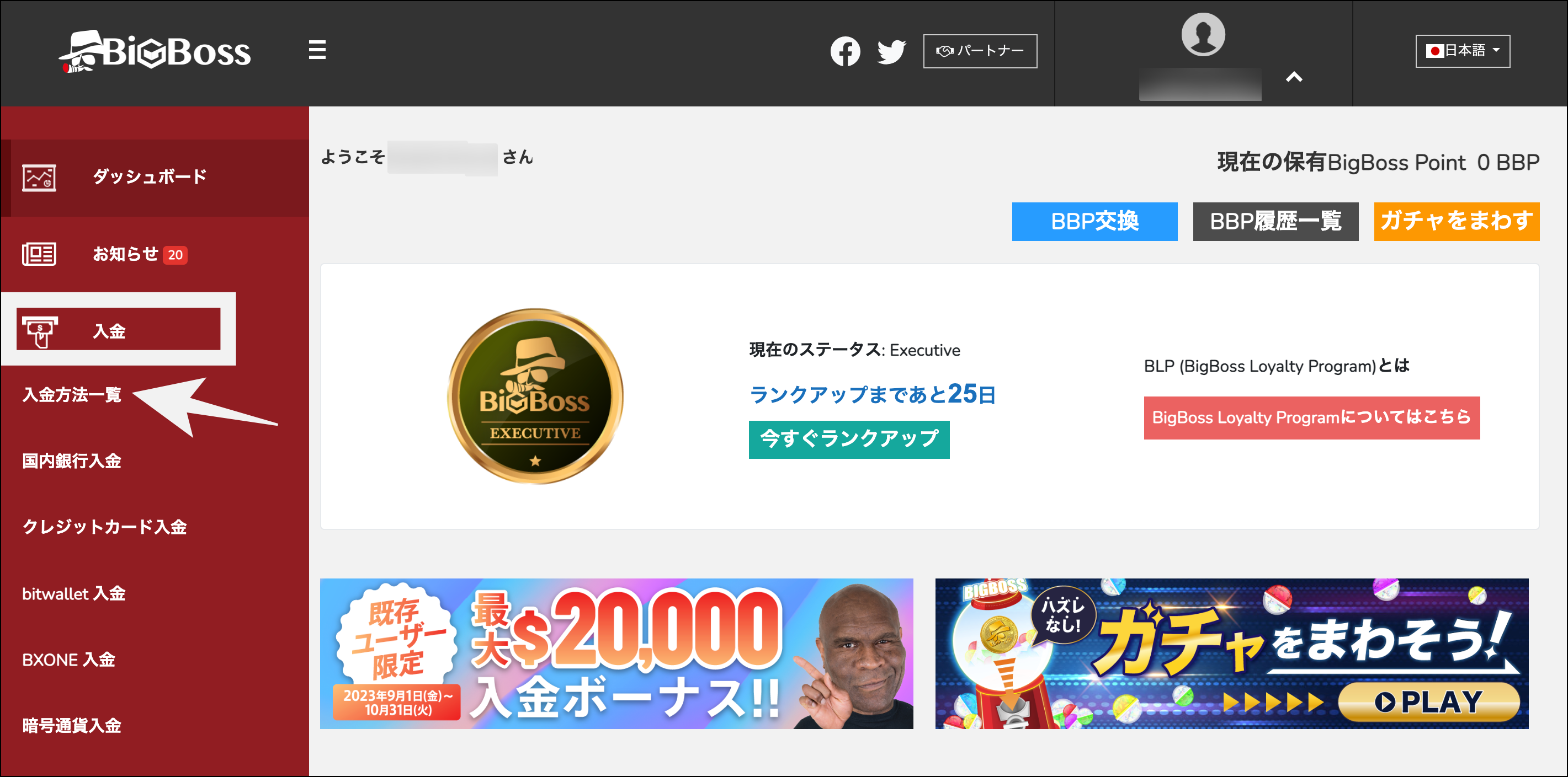 BigBoss口座開設後から取引開始までの準備