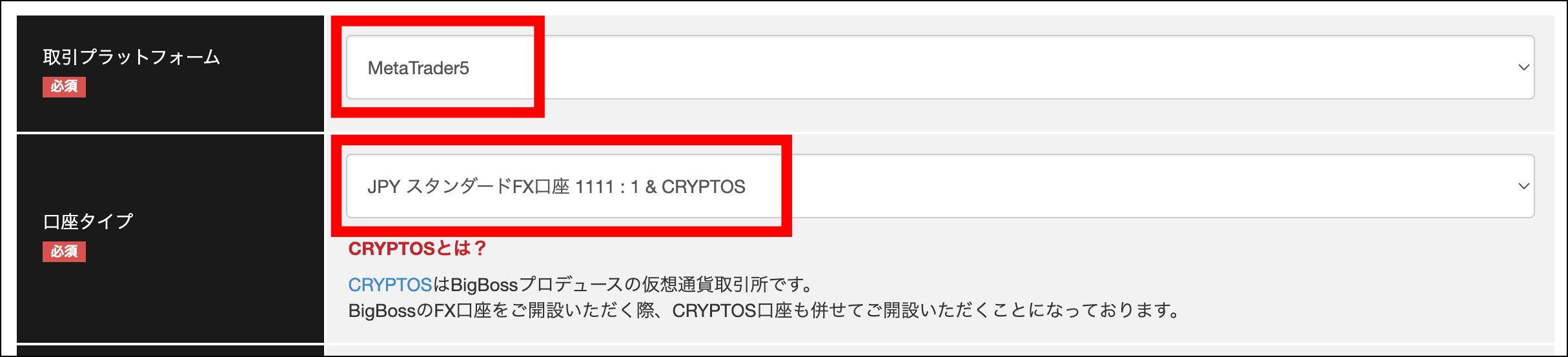 BigBossの口座開設方法・手順【クイック口座編】