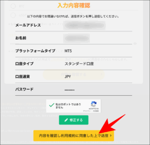 ステップ⑥入力内容を確認しフォームを送信する
