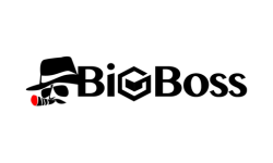 BigBoss-logo